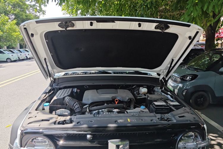Used Tank 300 2021 Off-Road Edition 2.0T Conqueror Engine Bay