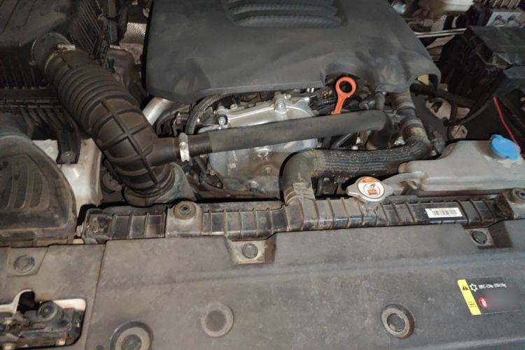 Used Tank 300 2021 Off-Road Edition 2.0T Conqueror Engine Bay