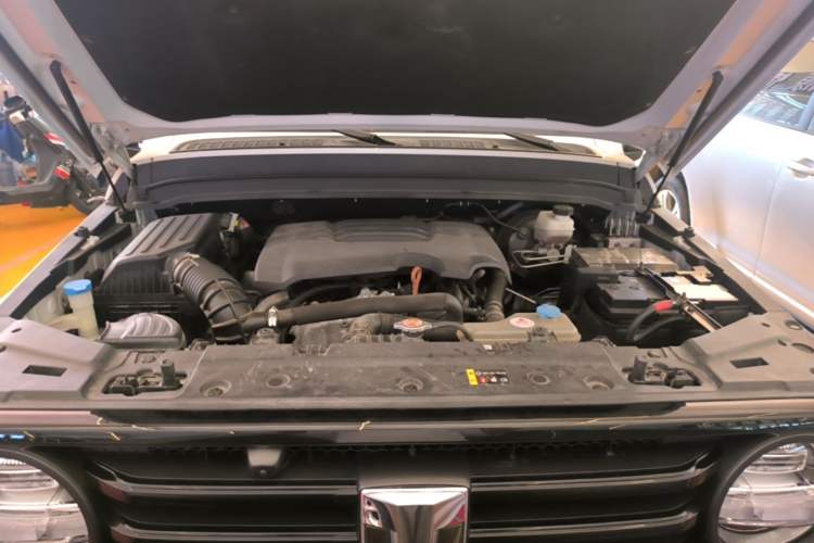 Used Tank 300 2021 Off-Road Edition 2.0T Conqueror Engine Bay