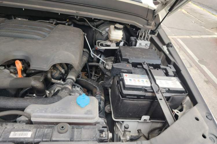 Used Tank 300 2021 City Edition 2.0T Essential Model Engine Bay Left