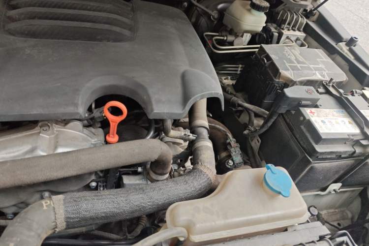 Used Tank 300 2021 Off-Road Edition 2.0T Conqueror Engine Bay Left