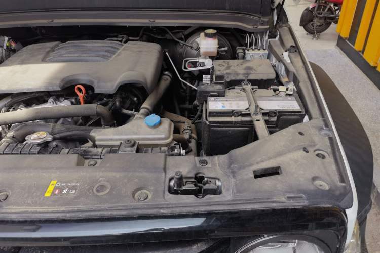 Used Tank 300 2021 Off-Road Edition 2.0T Conqueror Engine Bay Left