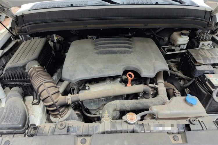 Used Tank 300 2021 Off-Road Edition 2.0T Conqueror Engine Bay