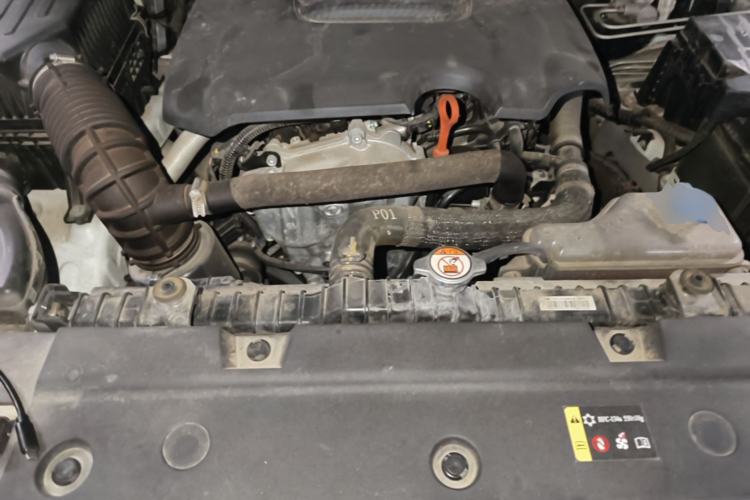 Used Tank 300 2021 Off-Road Edition 2.0T Conqueror Engine Bay