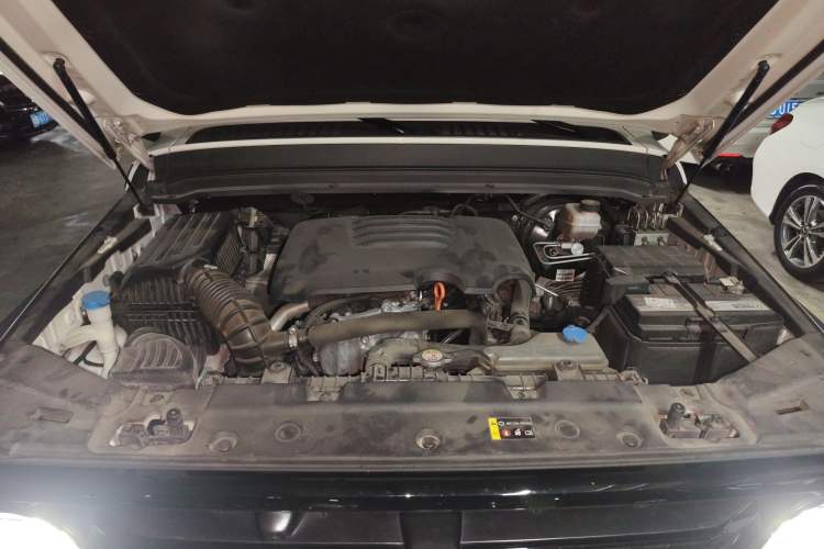 Used Tank 300 2021 Off-Road Edition 2.0T Conqueror Engine Bay