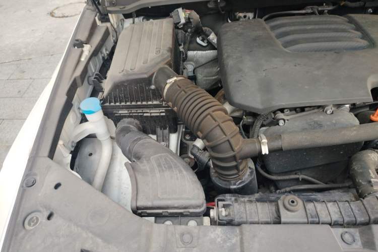 Used Tank 300 2021 City Edition 2.0T Essential Model Engine Bay Right