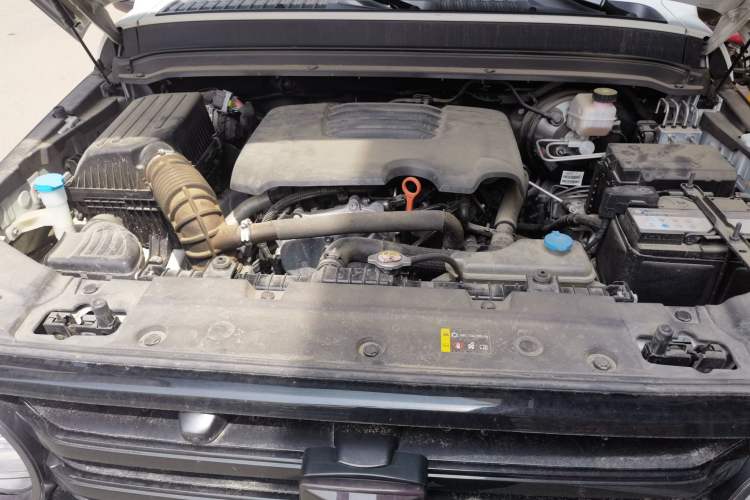 Used Tank 300 2021 Off-Road Edition 2.0T Conqueror Engine Bay