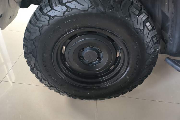 Used Tank 300 2021 2.0T Wind & Forest Iron Rider Exterior 5