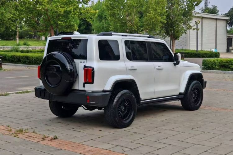Used Tank 300 2021 City Edition 2.0T—Truly Stylish Exterior 8
