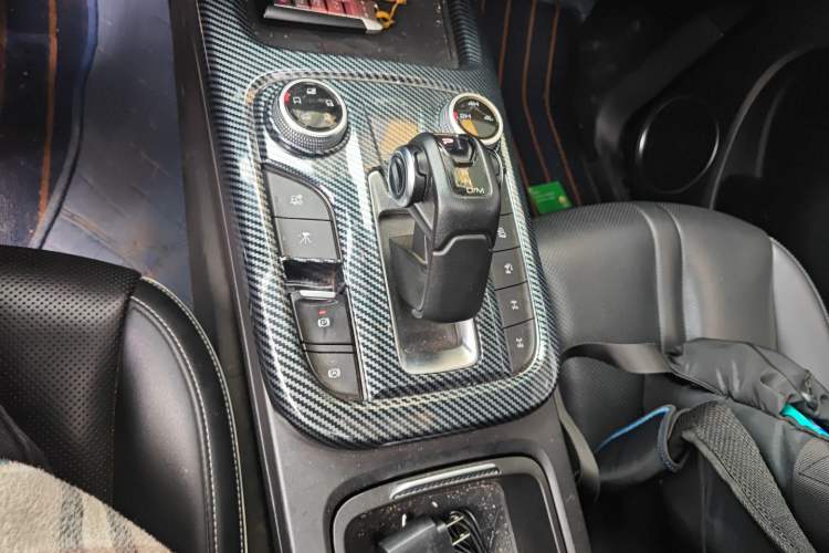 Used Tank 300 2021 Off-Road Edition 2.0T Conqueror Gear Lever