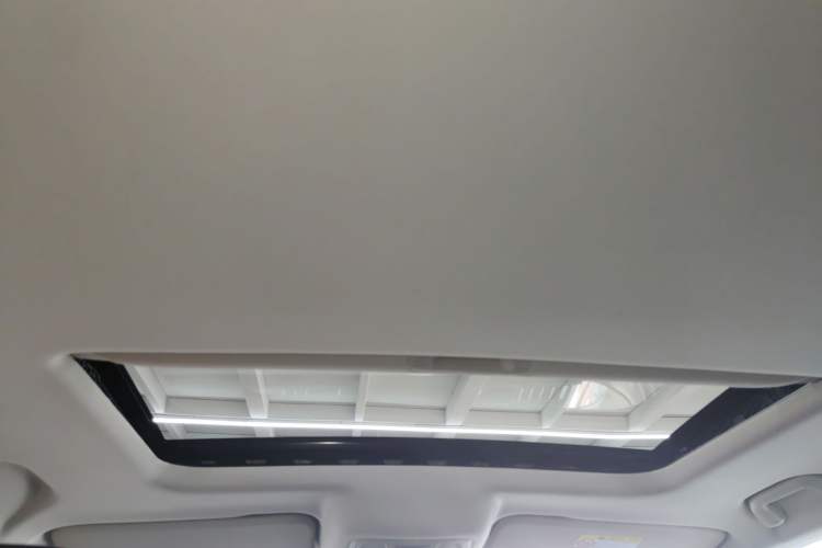 Used Tank 300 2021 Off-Road Edition 2.0T Conqueror Headliner