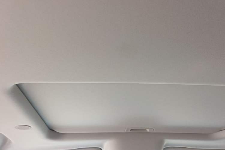 Used Tank 300 2021 City Edition 2.0T—Truly Stylish Headliner