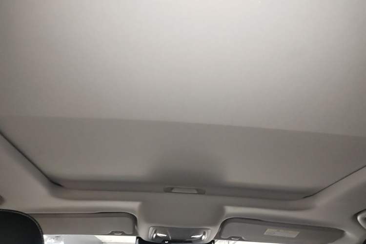 Used Tank 300 2021 Off-Road Edition 2.0T Challenger Headliner