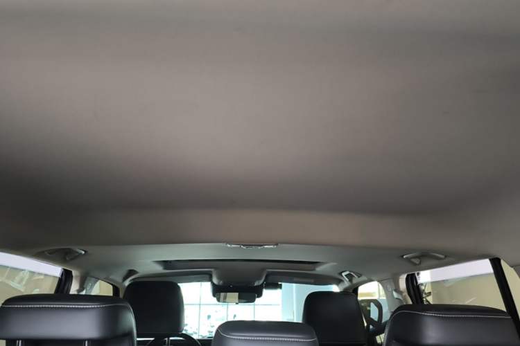 Used Tank 300 2021 2.0T Wind & Forest Iron Rider Headliner