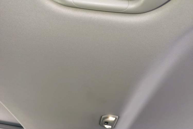 Used Tank 300 2021 City Edition 2.0T—Truly Stylish Headliner