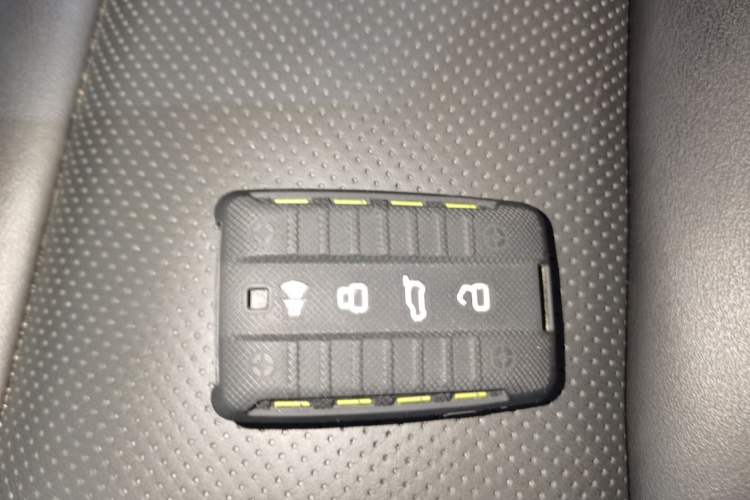 Used Tank 300 2021 Off-Road Edition 2.0T Conqueror Interior 1