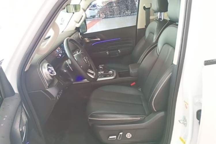 Used Tank 300 2021 Off-Road Edition 2.0T Conqueror Left Front Seat