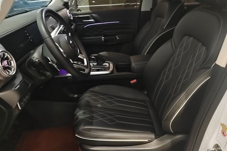 Used Tank 300 2021 Off-Road Edition 2.0T Challenger Left Front Seat