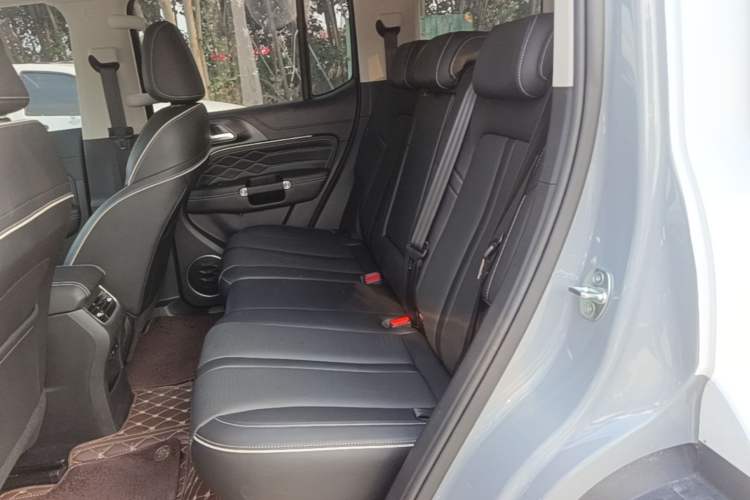 Used Tank 300 2021 City Edition 2.0T—Truly Stylish Left Rear Seat