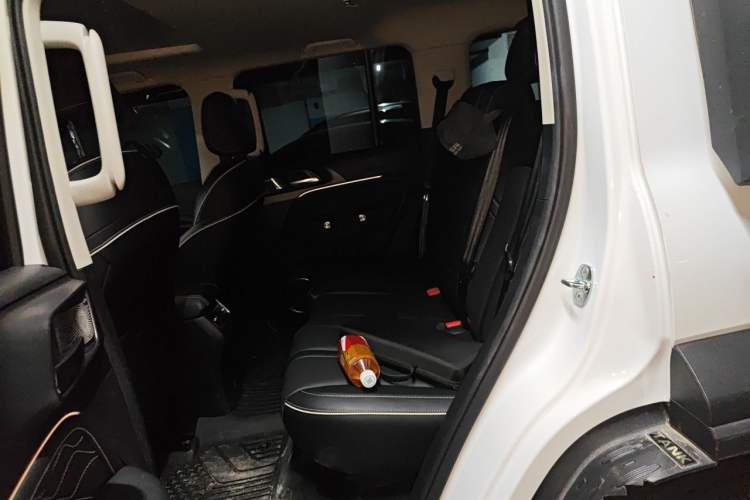Used Tank 300 2021 Off-Road Edition 2.0T Conqueror Left Rear Seat