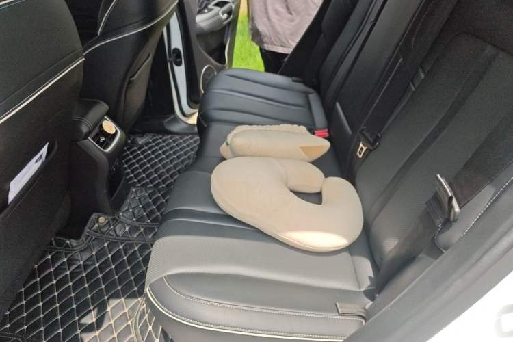 Used Tank 300 2021 Off-Road Edition 2.0T Conqueror Left Rear Seat