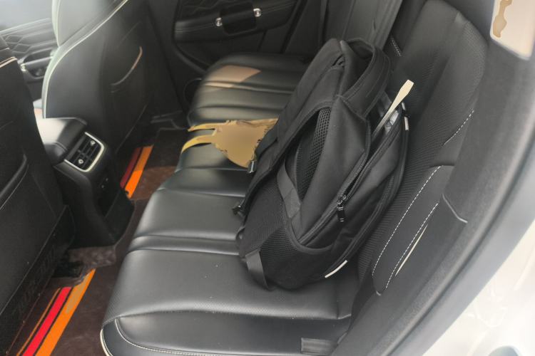 Used Tank 300 2021 City Edition 2.0T—Truly Stylish Left Rear Seat