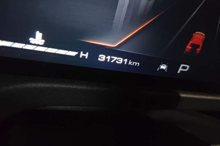 Used Tank 300 2021 Off-Road Edition 2.0T Conqueror Odometer Close Up