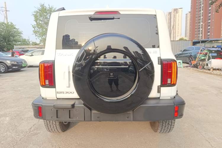 Used Tank 300 2021 City Edition 2.0T—Truly Stylish Rear