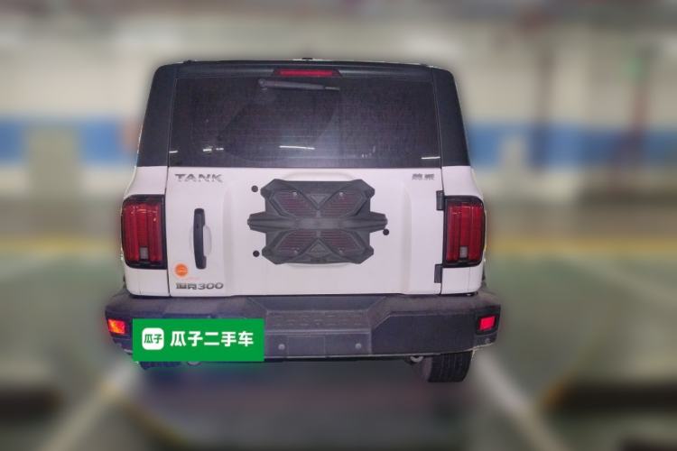 Used Tank 300 2021 Off-Road Edition 2.0T Conqueror Rear