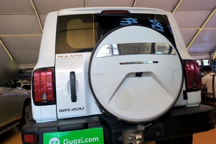 Used Tank 300 2021 Off-Road Edition 2.0T Conqueror Rear