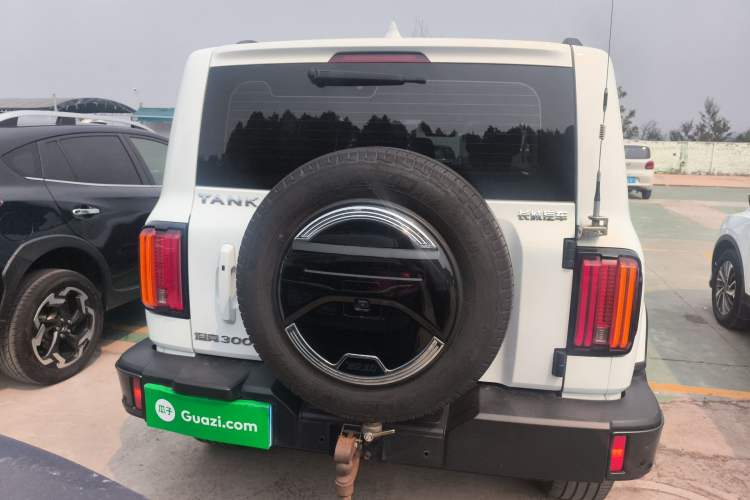 Used Tank 300 2021 City Edition 2.0T—Truly Stylish Rear