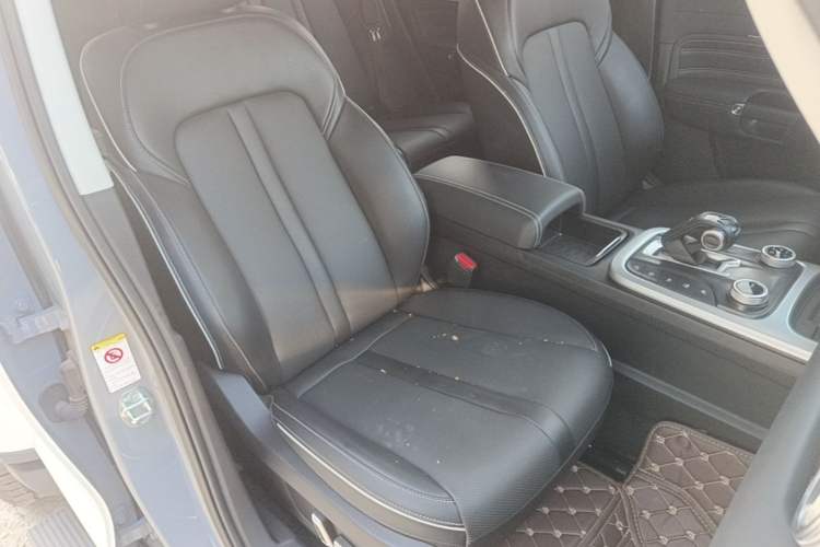 Used Tank 300 2021 City Edition 2.0T—Truly Stylish Right Front Seat