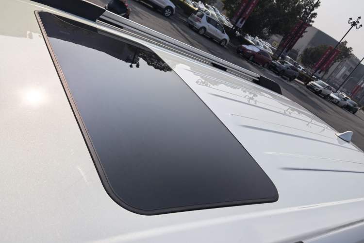 Used Tank 300 2021 City Edition 2.0T—Truly Stylish Roof