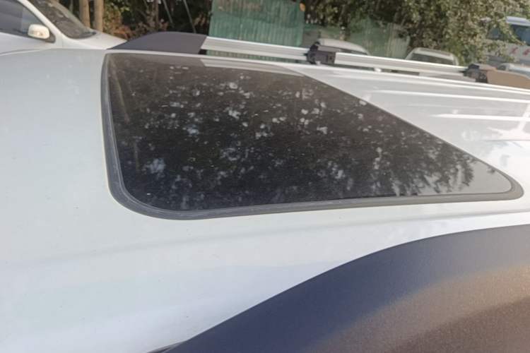 Used Tank 300 2021 City Edition 2.0T—Truly Stylish Roof