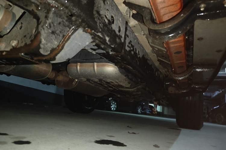 Used Tank 300 2021 Off-Road Edition 2.0T Conqueror Chassis Front Left