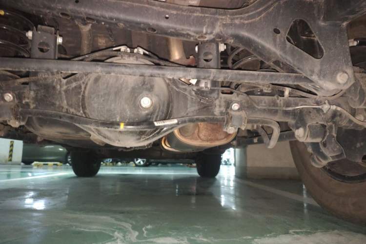 Used Tank 300 2021 City Edition 2.0T My Vision Model Chassis Rear