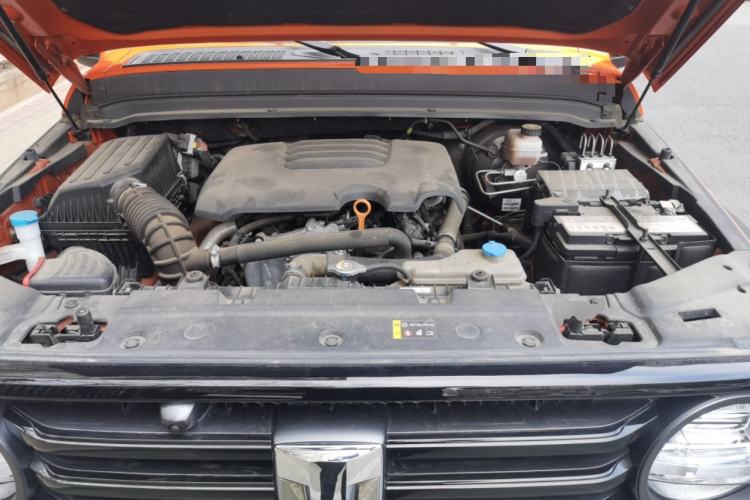 Used Tank 300 2021 Off-Road Edition 2.0T Conqueror Engine Bay
