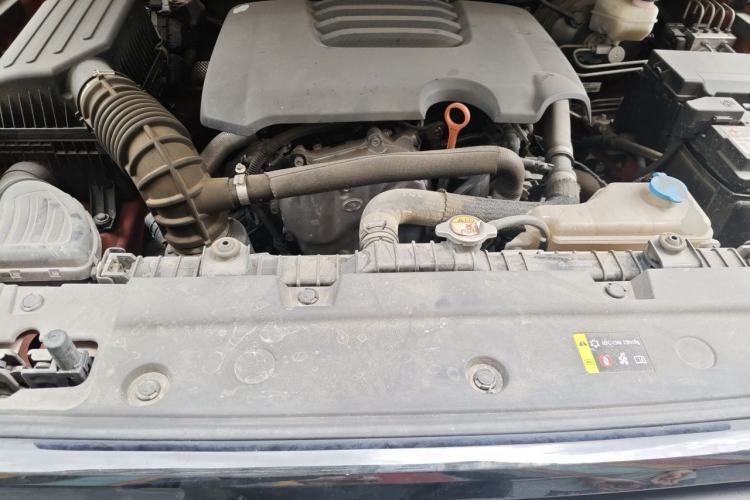 Used Tank 300 2021 Off-Road Edition 2.0T Conqueror Engine Bay