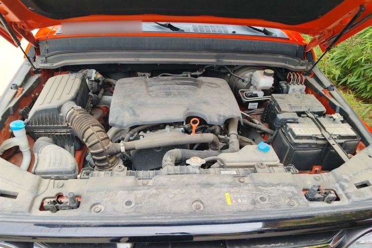 Used Tank 300 2021 City Edition 2.0T My Vision Model Engine Bay