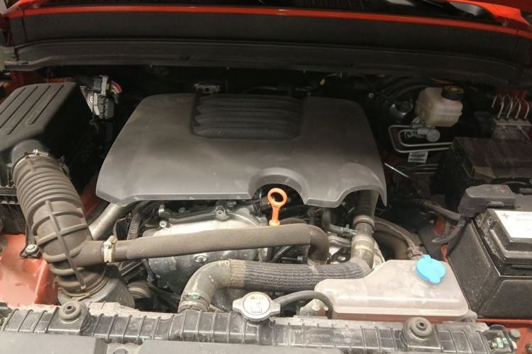 Used Tank 300 2021 Off-Road Edition 2.0T Conqueror Engine Bay