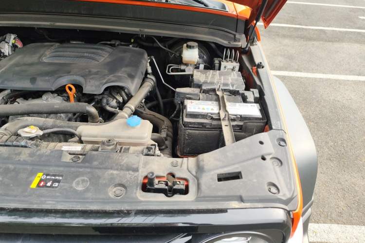 Used Tank 300 2021 Off-Road Edition 2.0T Conqueror Engine Bay Left