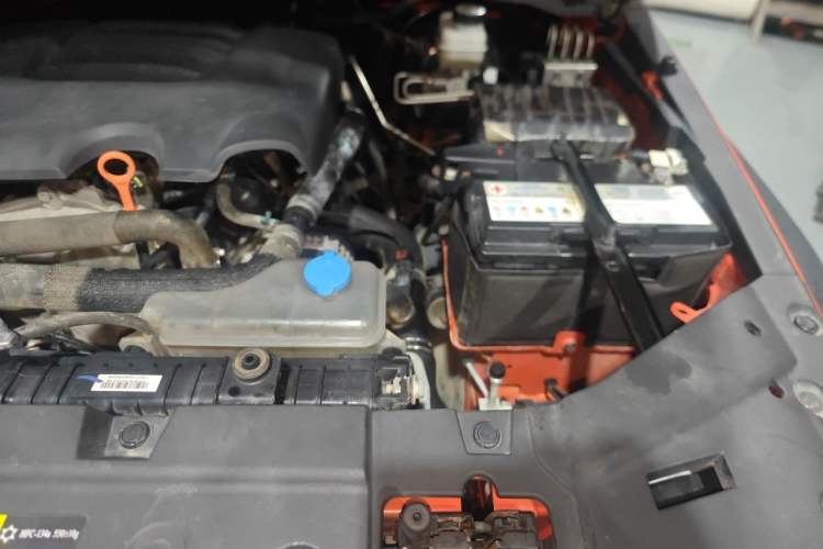 Used Tank 300 2021 Off-Road Edition 2.0T Conqueror Engine Bay Left