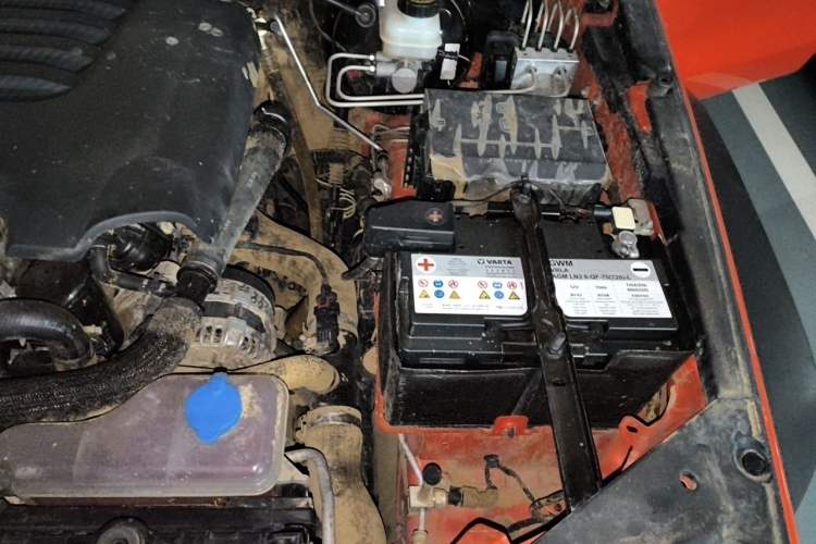 Used Tank 300 2021 Off-Road Edition 2.0T Conqueror Engine Bay Left