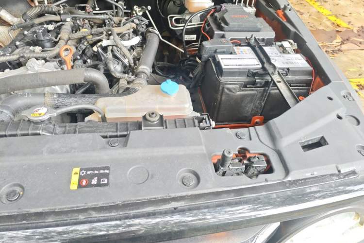 Used Tank 300 2021 Off-Road Edition 2.0T Conqueror Engine Bay Left