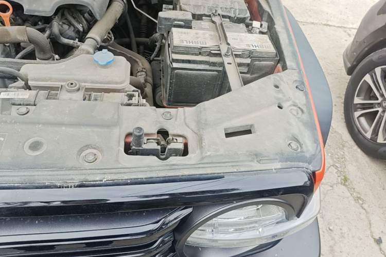 Used Tank 300  Engine Bay Left
