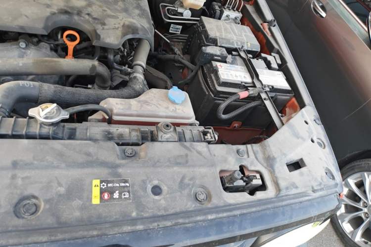 Used Tank 300 2021 Off-Road Edition 2.0T Conqueror Engine Bay Left