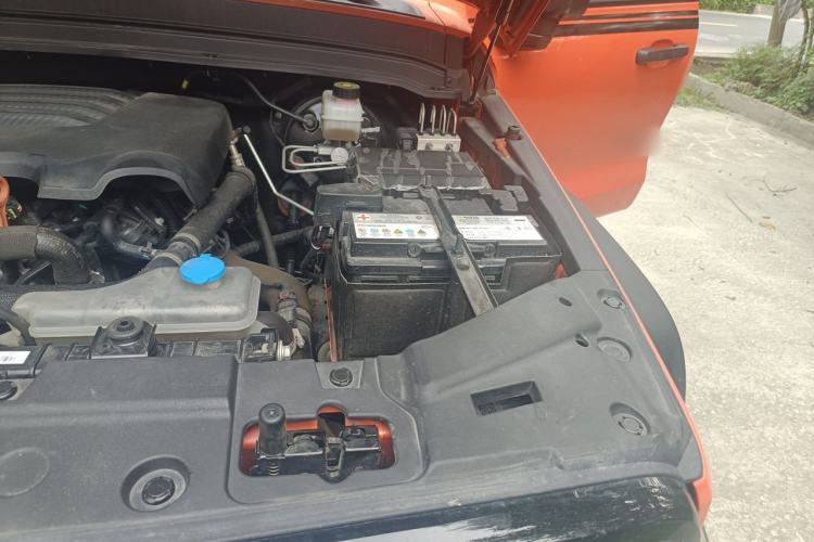 Used Tank 300 2021 Off-Road Edition 2.0T Conqueror Engine Bay Left