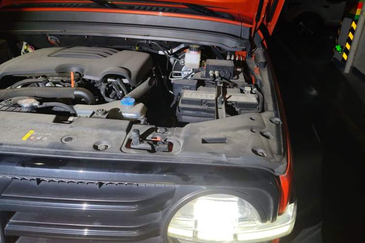 Used Tank 300 2021 Off-Road Edition 2.0T Conqueror Engine Bay Left