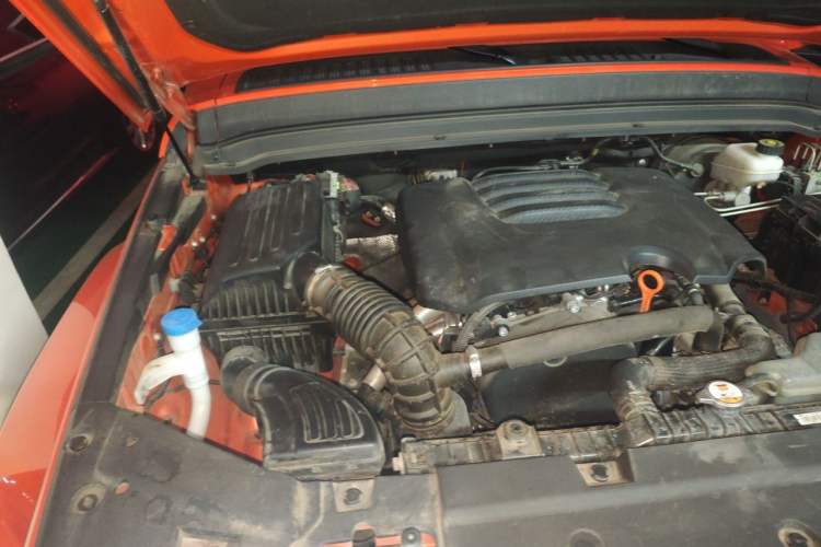 Used Tank 300 2021 City Edition 2.0T My Vision Model Engine Bay Right