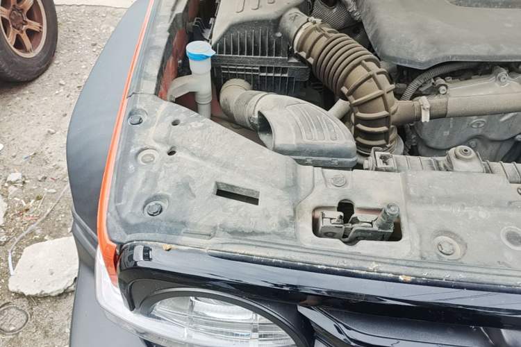 Used Tank 300  Engine Bay Right